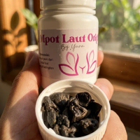 MPOT BIANG CAMILAN LAUT RASA ASIN AROMA TERASI