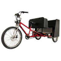 CE Approved 5 Seats Electric Cycle Rickshaw/Trisikad/Trishaw