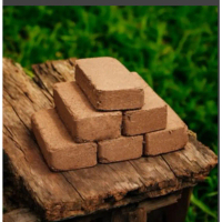Cocopeat Block Media For Vegetable and Flowers Garden Accessories Fertiliser Growing Median 229SG Fa