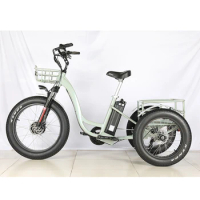 48v 500w front drive motor battery powered three 3 wheel fat tire tyre cargo electric bike tricycle
