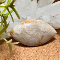 幸水晶 - 幸水晶 - 【珊瑚玉吊墜5】Fossilized Coral - 養顏保健、活血明目 200G