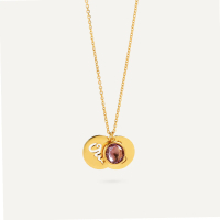 Emily in Paris - Aurum Lab - Enchante (Kalung Emas 9K)
