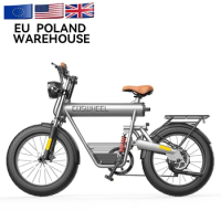 Free Shipping EU Warehouse coswheel 20Inch Fat Tire Electric Bike Adult OEM Ebike Retro Style Mountain Super 750W Ebike For Sale