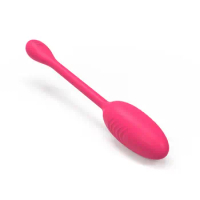 Wireless Remote Control Panties Vibrator Vibrating Eggs Wearable Balls Vibrators G Spot Clitoris Massager Sex Toys for Women