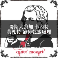 【咖啡匙 咖啡豆】哥斯大黎加 卡內特 莫札特 葡萄乾蜜處理 120克/包（約1/4磅）