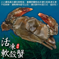 【三頓飯】嚴選冷凍軟殼蟹(6盒_8-10隻/600g/盒)