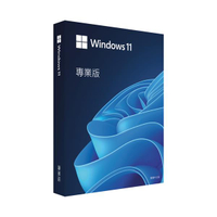 微軟 Win 11 Pro (win11專業版) 64bit USB 中文盒裝版