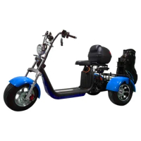 New High Quality Fat Tire 3 Wheel Citycoco Electric Tricycle Golf Scooter 2000W Accessories