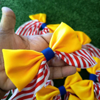 pin reben merdeka cantik color bendera Malaysia