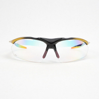[C805-GD] 太陽眼鏡 運動型 戶外 彩虹鍍膜 台灣製 出清品 金
