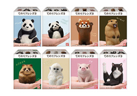 【小紅茶玩具屋】BANDAI 掌上好朋友 09 掌中好友 動物系列 熊貓 浣熊 盒玩 整套八款