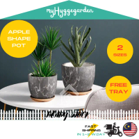 MYHYGGEGARDEN [WITH GOLD TRAY] Apple Grey Porcelain Ceramic Large Big Planter Flower Pot Home | Pasu