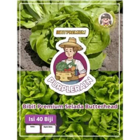 Bibit Premium Selada Butterhead | Benih Selada Butterhead