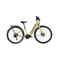 【DOSUN】電動輔助自行車 CTPRO 16吋奶油黃_送安裝(車麗屋)