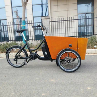 swing balance Electric tilt system version cargo bike 3 three wheels tricycle cargo ebike cargo dog 