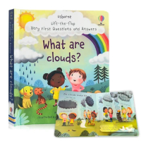 What are clouds? Usborne Lift The Flap Very First Questions &amp; Answers Book in English Baby Kids Picture Board Books Montessori