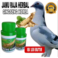 GINSENG TEKI KOREA 100 PIL merpati Cepat Giring keras extra ginseng teki sarang walet pil edan rjb d