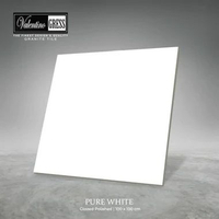 GRANITE VALENTINO GRESS 100X100 CM - PURE WHITE