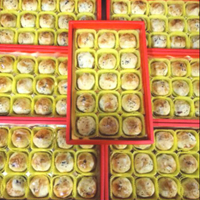 代排❤🎉彰化不二坊蛋黃酥代購6入 新氣泡棉紙包裝(原彰化不二家)必吃必買伴手禮