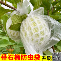 芭樂番石榴套袋水果網套泡沫套袋防蟲保護袋水果防蟲保護一體袋-UM.有米家居