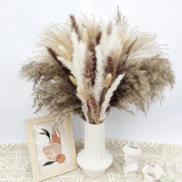 Natural Dried Fluffy Pampas Grass Bouquet Set Boho Home Decor Pompous Large Reed Bunny Tail Wheat Stalk Decorative