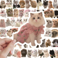 60-Piece Realistic Cat Sticker Set: High-Definition, Waterproof, 3.5-6.8cm. Includes Cute & Hilariou