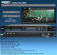 Management Fest MG 4800 Original DLMS FEST MG4800