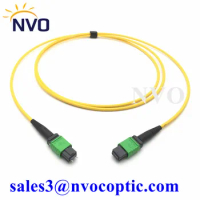 1M Fiber Patch Cable OS2 G657A,MPO APC Connector Jumper Standard IL 0.75dB Female to Male 12 Core SM Trunk Type B Polarity