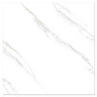 [3,000.- ส่งฟรี* เฉพาะในไลฟ์] TARA  กระเบื้องพื้น 60X60 ซม. ฮายอน ขาว A 1.44M2 จัดส่งโดย HomePro