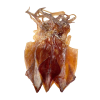 【老張鮮物】澎湖日曬大隻小管乾/小卷乾 4包組 共8-12隻(100g±10%/包)