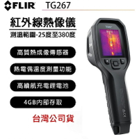 【eYe攝影】現貨 FLIR TG275 紅外線熱成像點溫槍 螢幕 紅外線熱顯像 測溫槍 溫度槍 熱顯儀 點溫槍