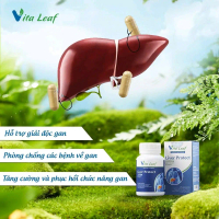 Mua 2 Tặng 1 Vita Leaf - Liver Protect Hỗ Trợ Giải Độc Gan
