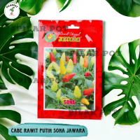 Benih Bibit Cabe Rawit Putih Benih Unggul Jawara - CABE RAWIT SONA