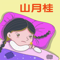 【有聲書】山月桂