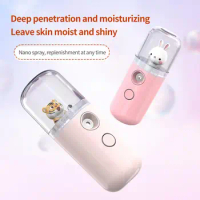 USB Rechargeable Mist Sprayer Mini Creative Nano Face Spray Facial Body Steamer Moisturizing Skin Care Humidifier Instruments