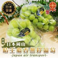 切果季-日本空運岡山晴王麝香無籽葡萄2房禮盒(每串550-600g)