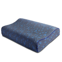 枕頭 記憶枕 石墨烯 健康枕頭 低溫遠紅外線功能 釋壓護頸 保健枕芯