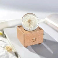 蒲公英藍芽音箱夜燈鮮花標本水晶球永生花創意聖誕節生日禮物擺件