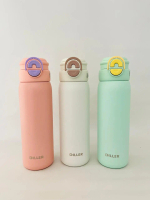 DILLER - Tumbler Vacuum Insulated 650ml Stainless Steel 316