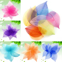 20Pcs Natural Leaves Vein Dried Art Flowers Material DIY Handmade Bookmarks Cards Packages Scrapbooks Decor Making Materials