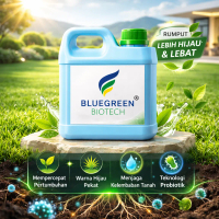 Pupuk Rumput Gajah Mini Varigata BlueGreen Biotech