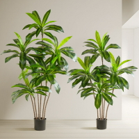 仿真綠植 發財樹 仿真植物 盆栽 盆景大型落地仿真綠植巴西木盆栽家居室內裝飾擺件仿真樹巴西鐵植物