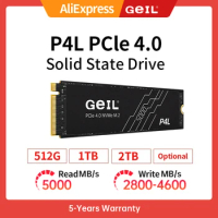 GeIL P4L PRO Internal Solid State Drive M2 SSD 1TB 2tb 4TB M.2 NVME 1.4 PCIe 4.0 SSD Disk Gen 4X4 2280 For PS5 Desktop Laptop
