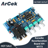 XH-M173 Karaoke Reverberation Board Reverberator Microphone Amplifier Board Karaoke Artifact Echo Board Singing Matching Set