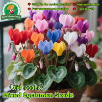 100% Authentic 150pcs Mixed Cyclamen Flower Seeds for Planting Bonsai Rabbit Ear Flowers Seeds for G