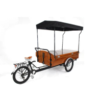 T04B Motorized Tricycles Electric Tricycle Cargo 3 Wheel Retro Coffee Bike Scooter Food Cart Equipment Hot Sale