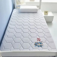 加厚床墊尺寸70x170家用床褥0.9米80x180x60x160x110x190x140大豆款-抗菌床墊-發財龍灰（舒適款）60*160cm