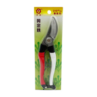 【生活King】清島專業剪定鋏210m/m(1入)