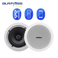30W Built-in Class D Amplifier Speaker 1PC Auido Bluetooth-compatible PA System Wall Ceiling Speaker for Home Bathroom Hotel Use