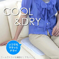 日本 FUJIPACKS  COOL &amp; DRY 涼感防汗坐墊  日本製